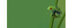 Thumbnail Caption