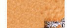 Thumbnail Caption