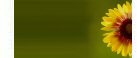 Thumbnail Caption