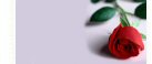 Thumbnail Caption