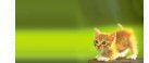 Thumbnail Caption